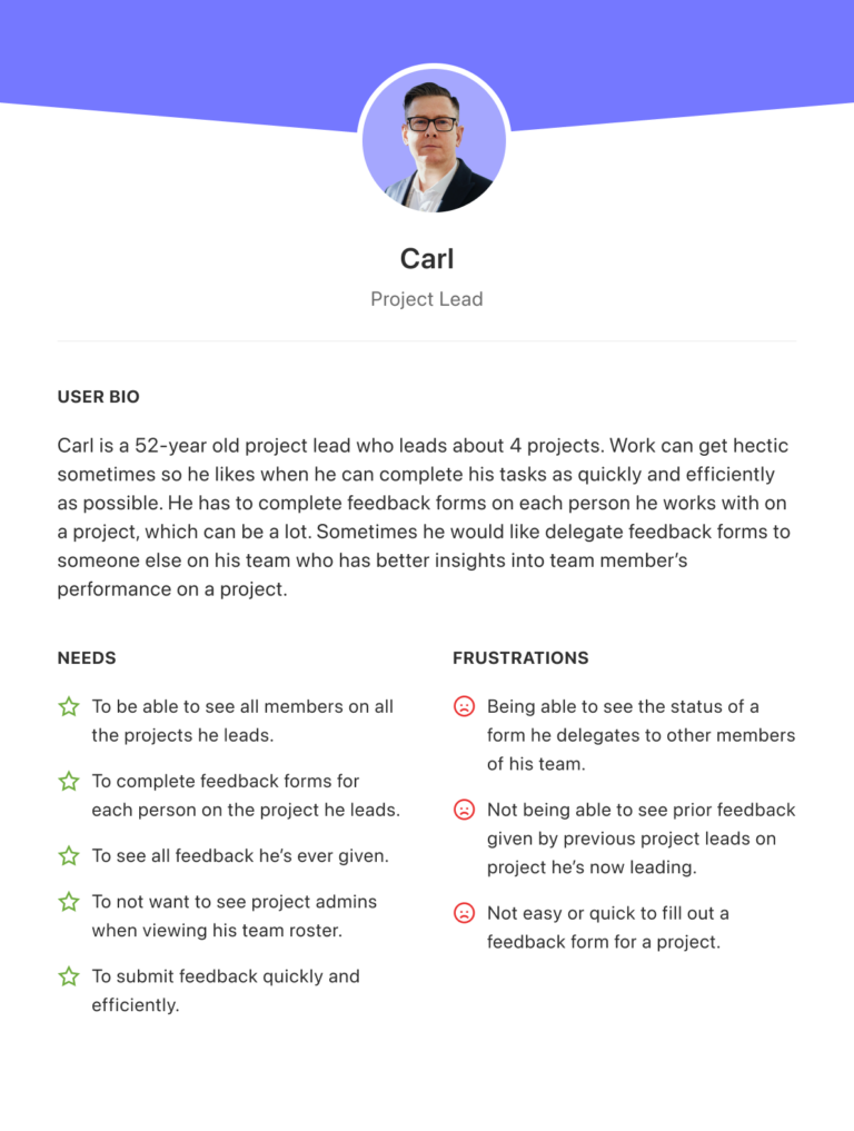 User persona - Project Leads